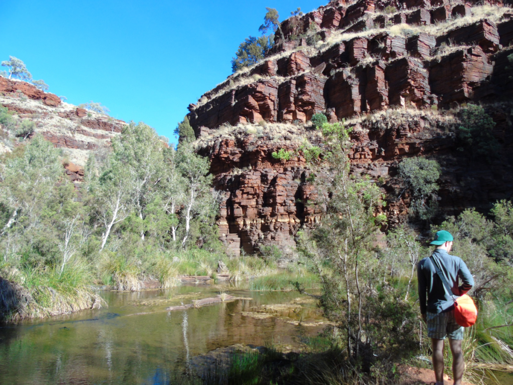 Dales Gorge hike to Fortescue Falls Walking through Dales Gorge on Day 1 of our Karijini itinerary in Karijini National Park, Western Australia.