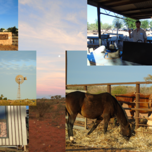 Bullara Station Stay Camping