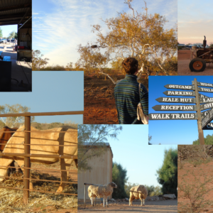Bullara Station Stay Exmouth