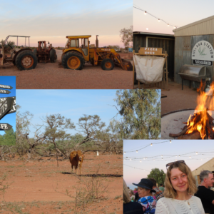 Bullara Station Stay Farm