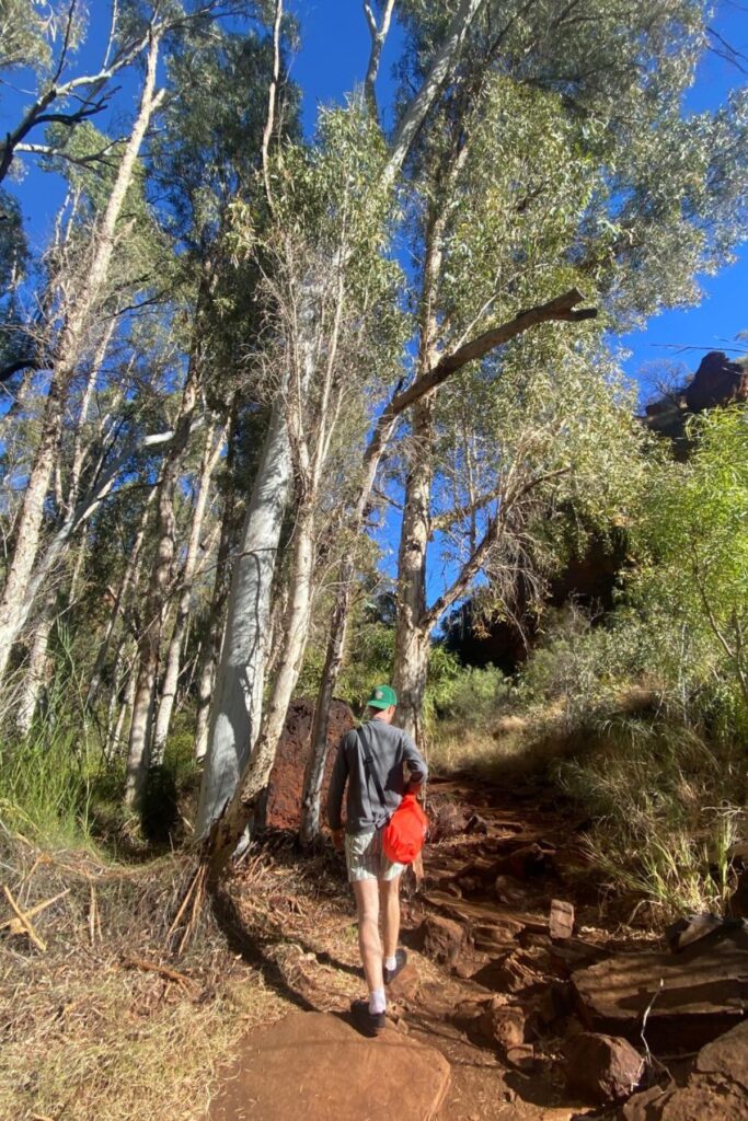 Dales Gorge at Karijini National Park